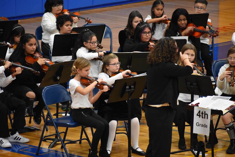 District Wide Orchestra Concert 