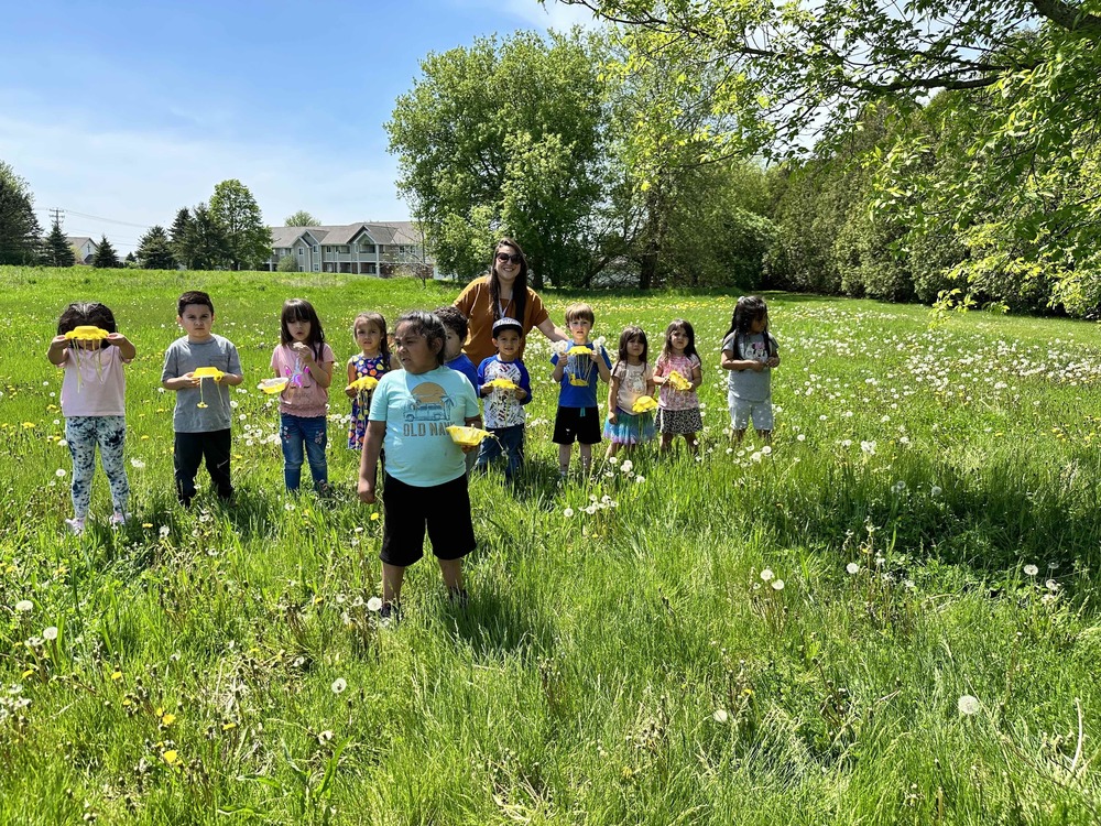 4K students use dandelions to make a projects